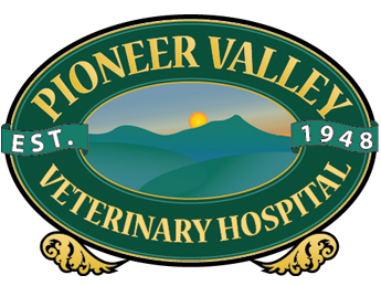 Pioneer Valley Vet Hospital, Inc.